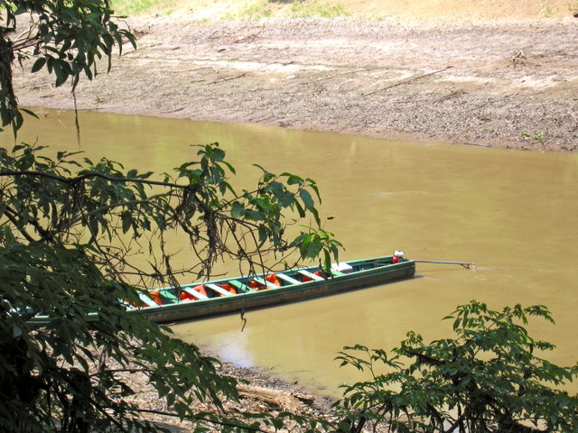 Амазония. Манасус Амазония. Манасус