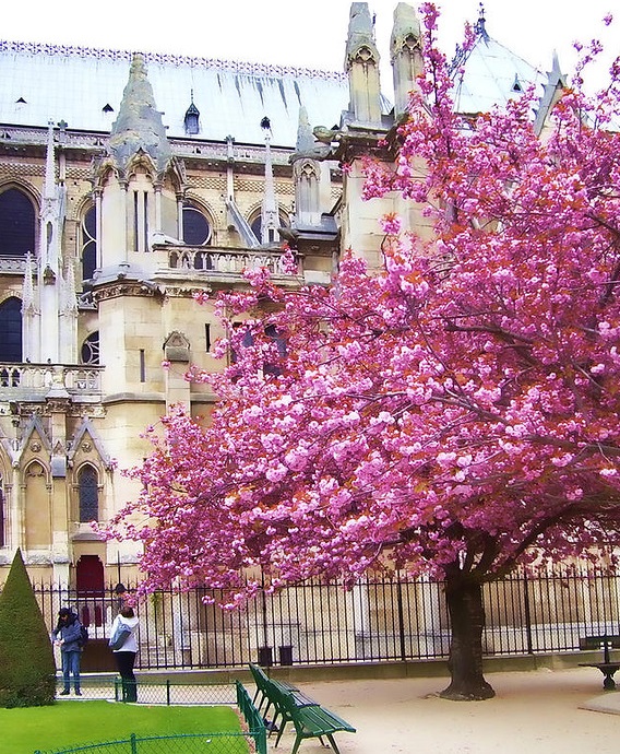 Париж Париж