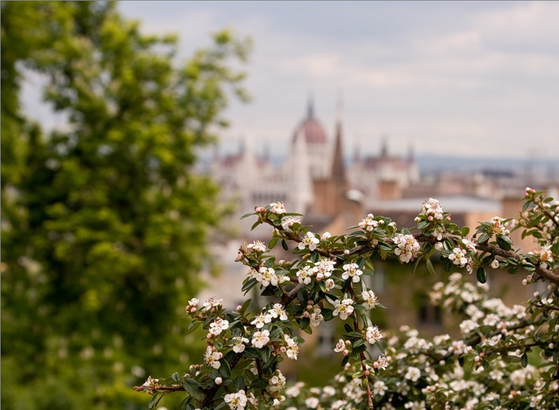 Туры в Будапешт
