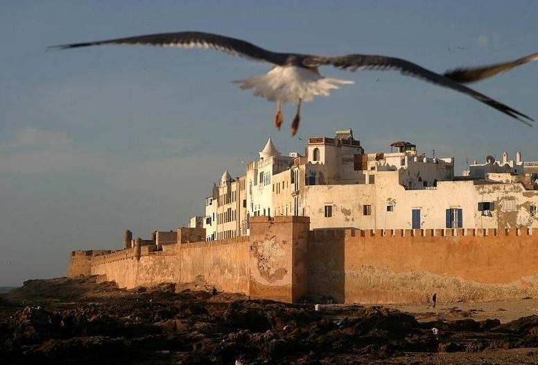 Эс-Сувейра. Марокко Эс-Сувейра. Марокко