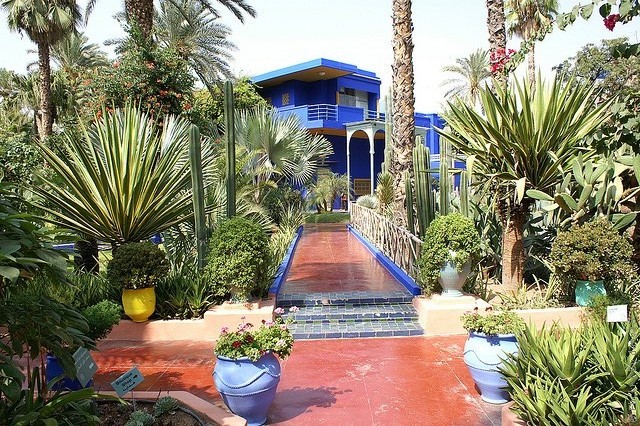 Сад Мажорель Сад Мажорель