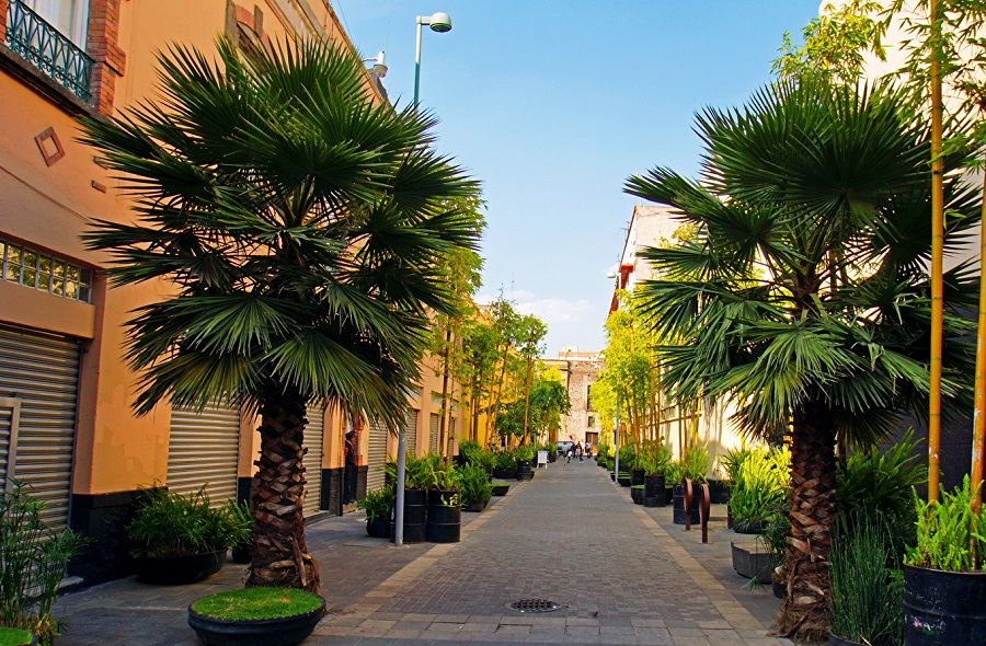 Мерида Мерида