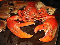 Рыбалка в Норвегии Рыбалка в Норвегии