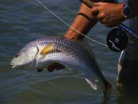 Рыбалка в Норвегии Рыбалка в Норвегии