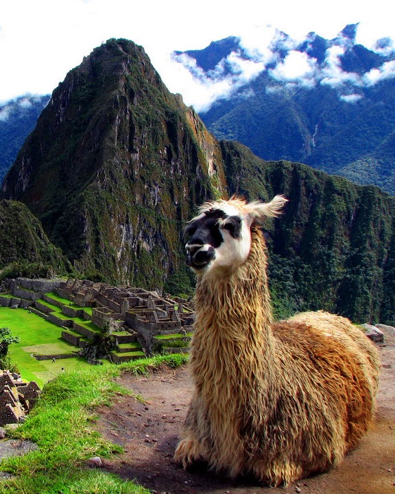 МАЧУ ПИКЧУ МАЧУ ПИКЧУ