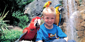 Выходные детям