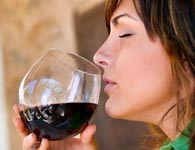 Винный тур Испания