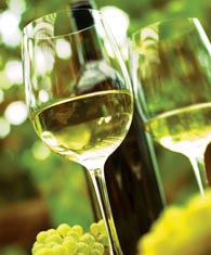 испанские вина испанские вина