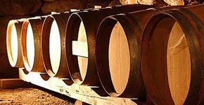 винный тур в Барселону