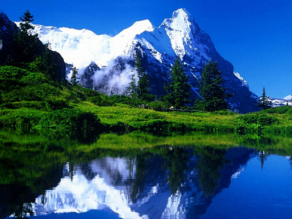 прогулки на самолете прогулки на самолете