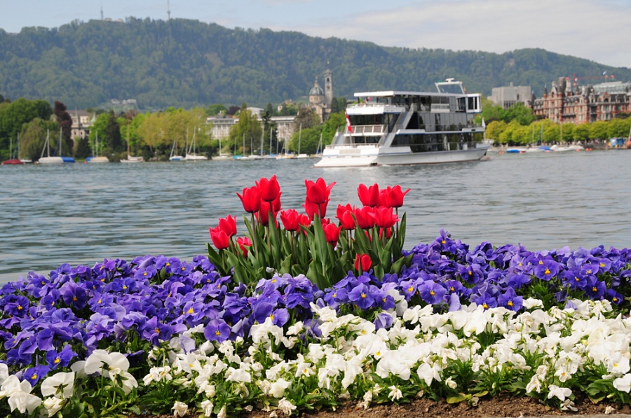 Отдых в Цюрихе Отдых в Цюрихе