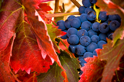 La Rioja La Rioja